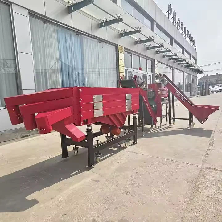 Hot Sale Ce Certified Garlic Peeler Sorter Stainless Steel 500kg/H Capacity With Dust Removal