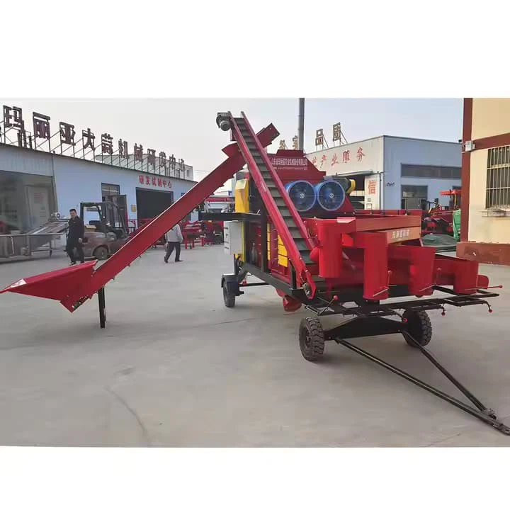 Hot Sale Ce Certified Garlic Peeler Sorter Stainless Steel 500kg/H Capacity With Dust Removal